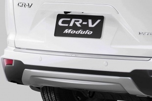 rear_bumper_protector_1803185467